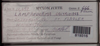 Image Associated With the Occurence